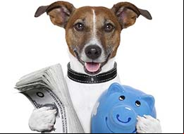 Bill_Kelly_dog_wins_lottery